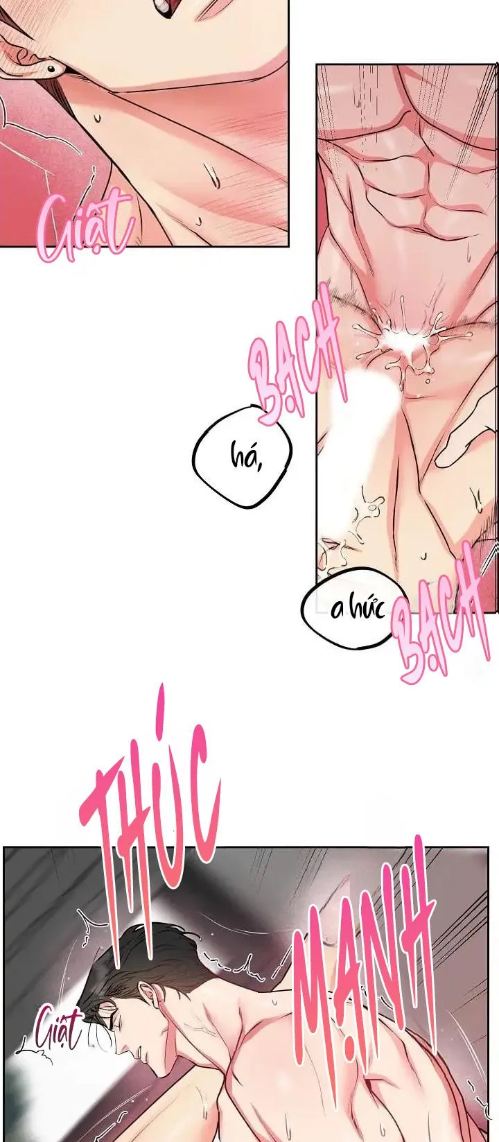 CHÓ VÀ CHIM Chapter 11 Trang 4