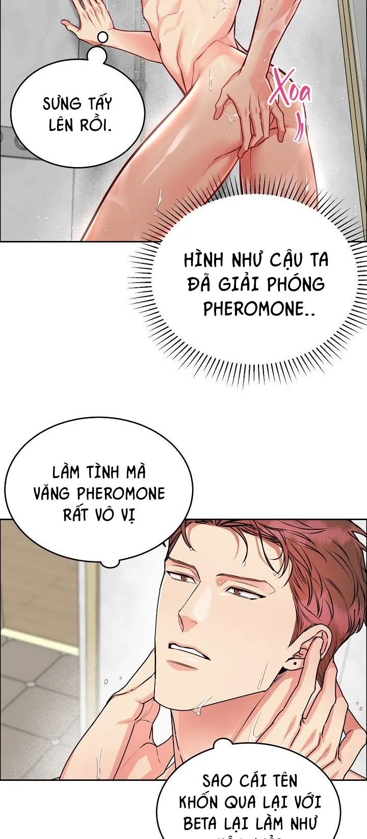 CHÓ VÀ CHIM Chapter 11 Trang 15