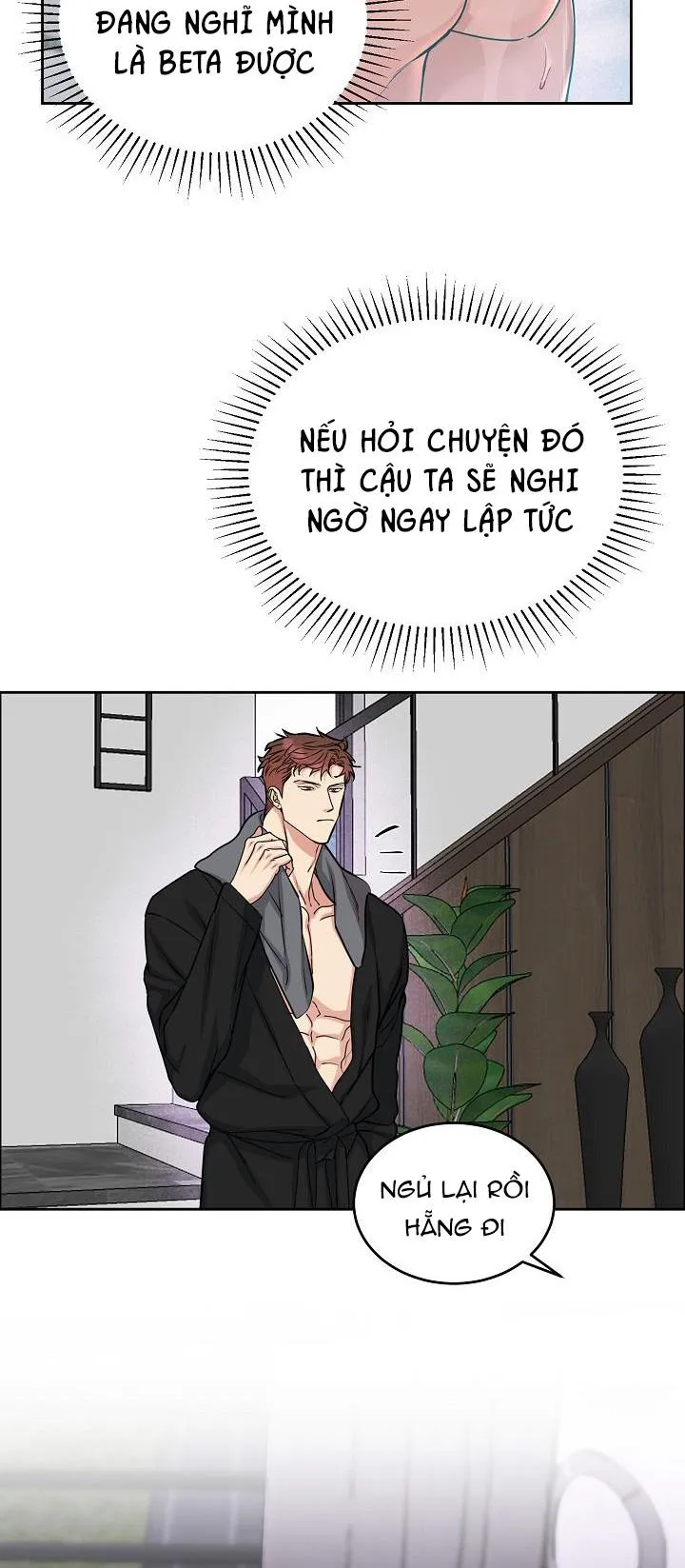 CHÓ VÀ CHIM Chapter 11 Trang 17