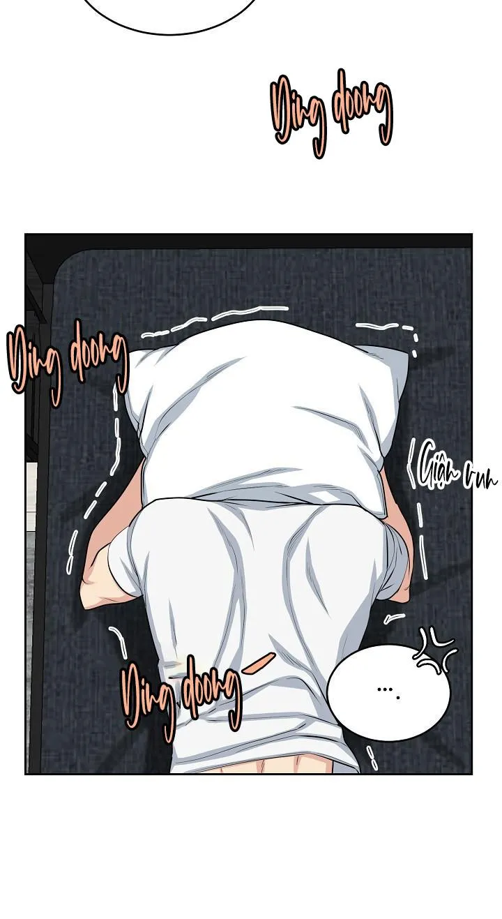 CHÓ VÀ CHIM Chapter 12 Trang 34