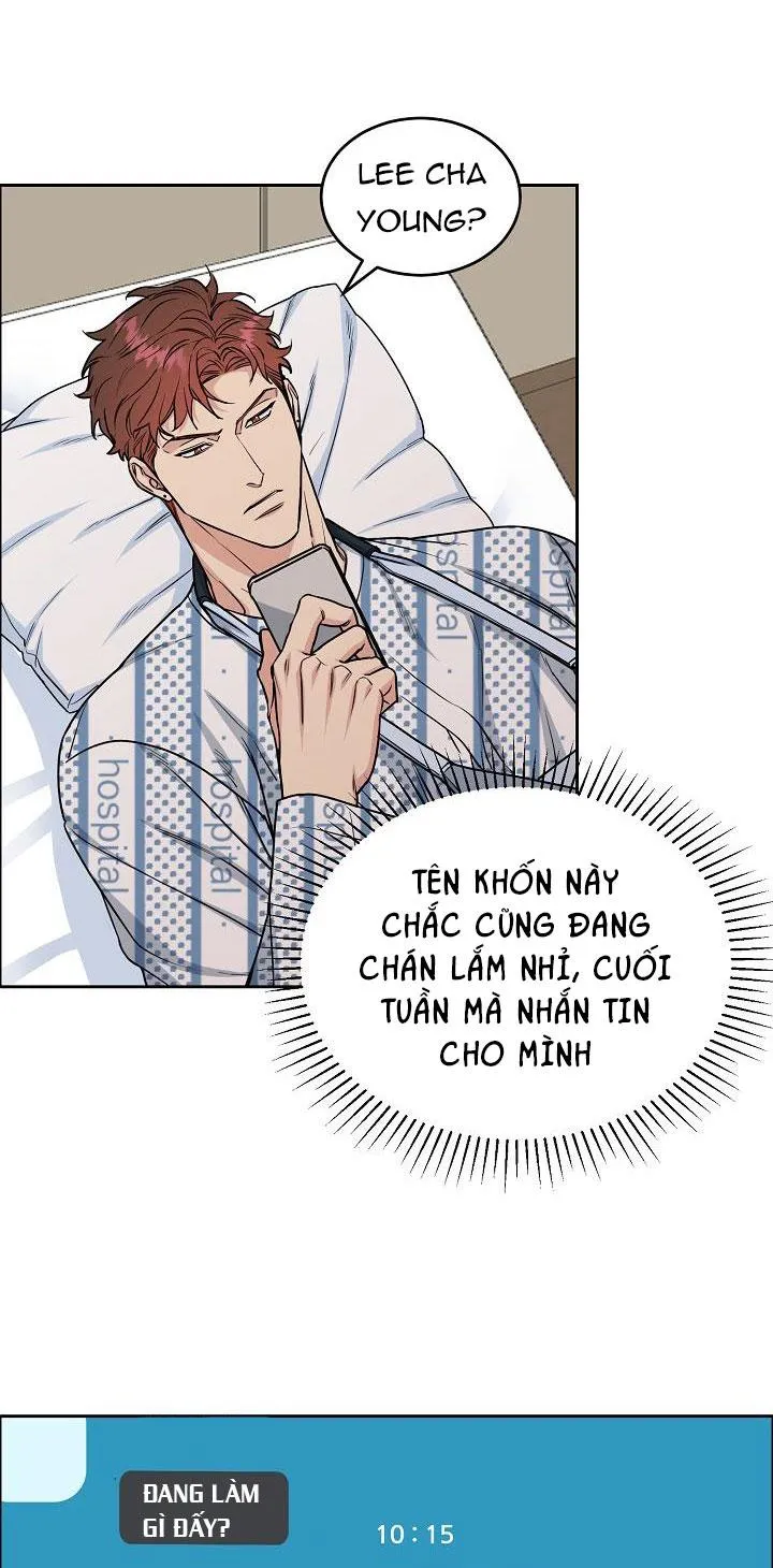 CHÓ VÀ CHIM Chapter 15 Trang 15