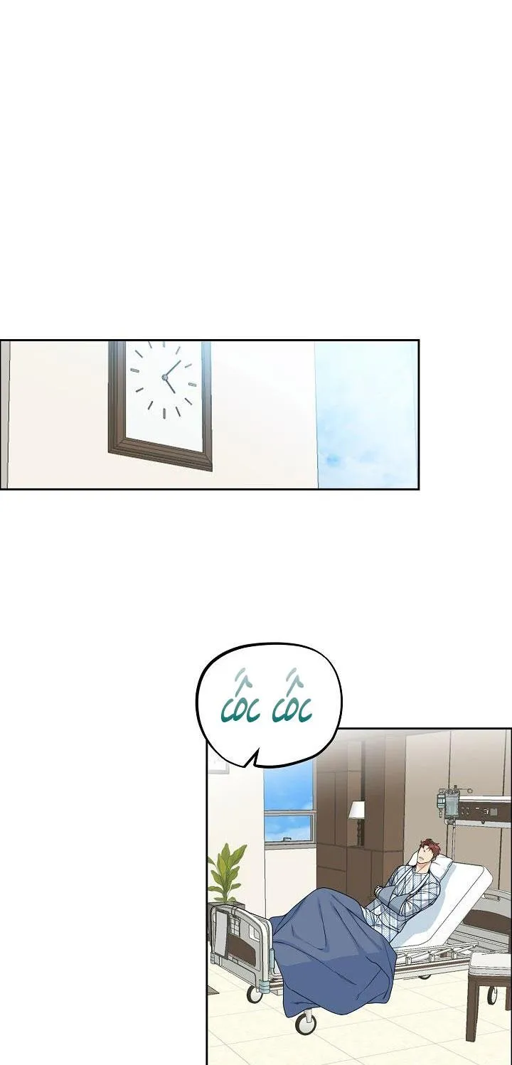 CHÓ VÀ CHIM Chapter 15 Trang 25