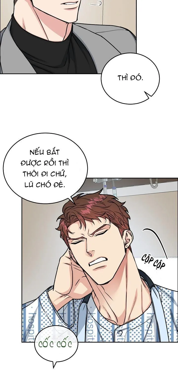 CHÓ VÀ CHIM Chapter 15 Trang 35