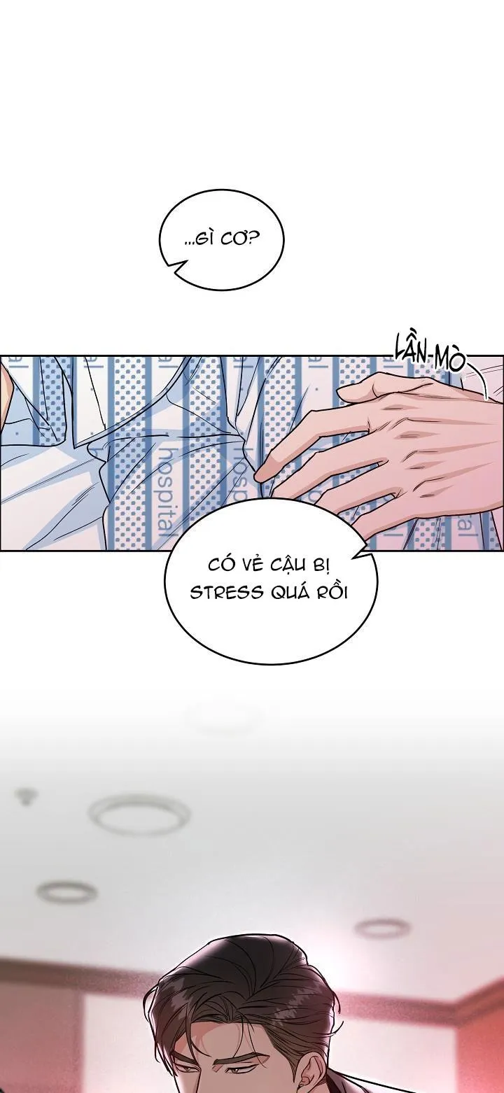 CHÓ VÀ CHIM Chapter 15 Trang 54