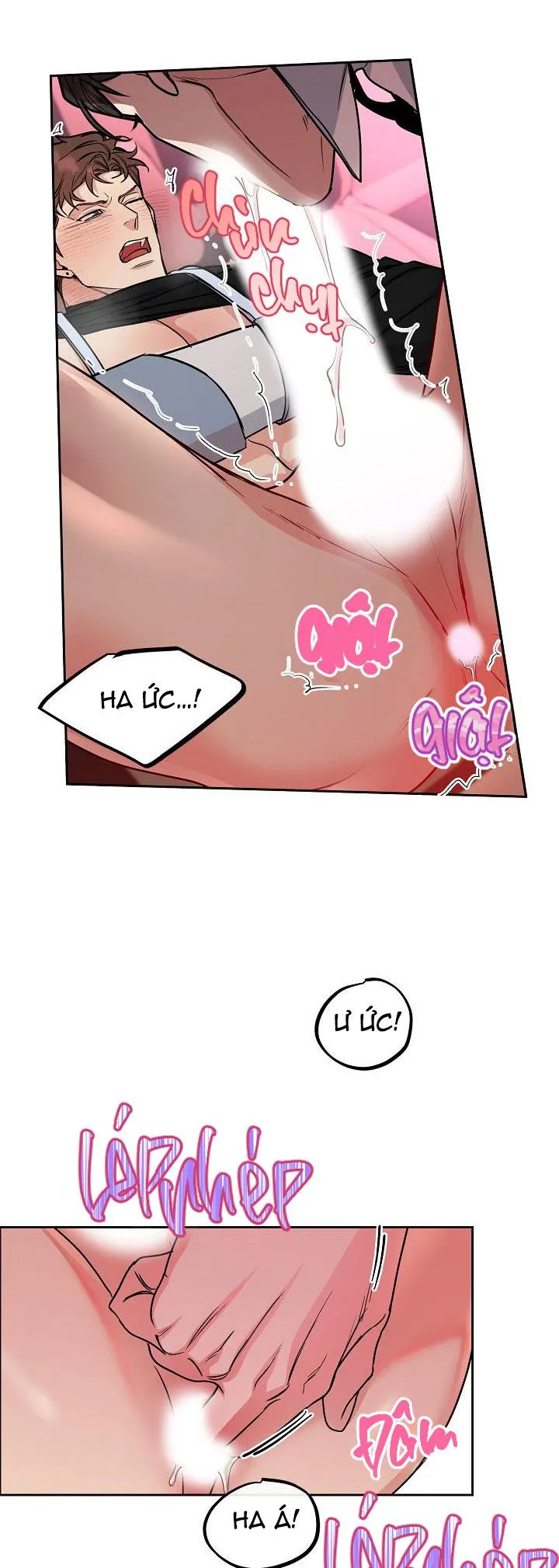 CHÓ VÀ CHIM Chapter 17 Trang 32