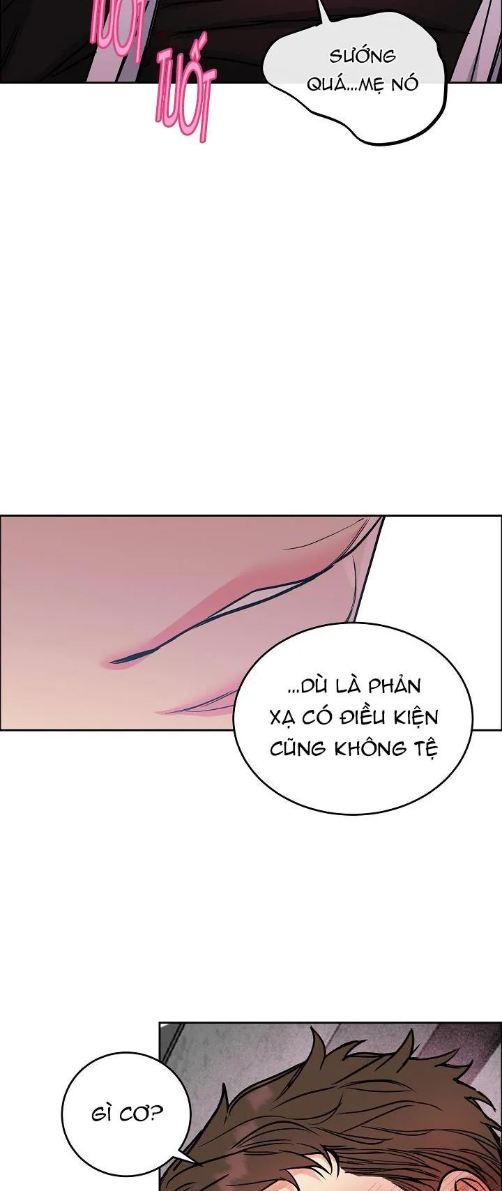 CHÓ VÀ CHIM Chapter 18 Trang 17