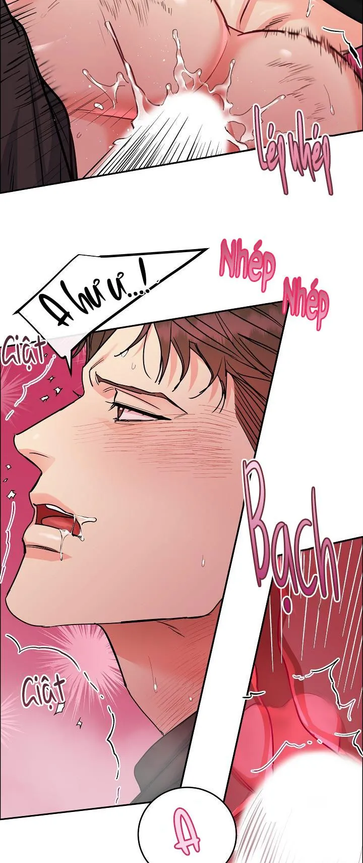 CHÓ VÀ CHIM Chapter 18 Trang 20