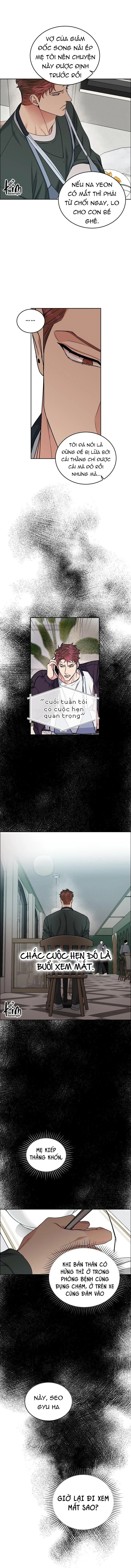 CHÓ VÀ CHIM Chapter 20 Trang 13