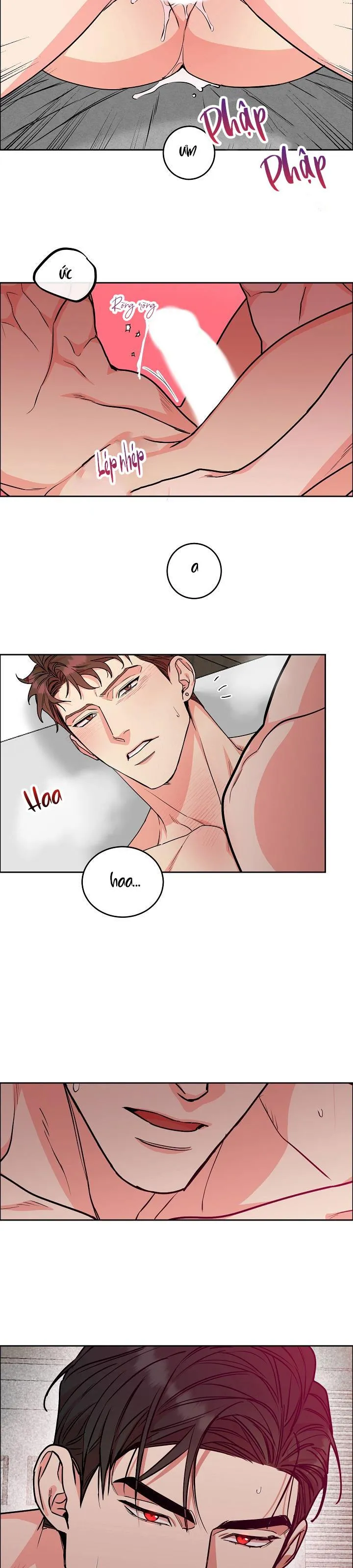 CHÓ VÀ CHIM Chapter 25 Trang 14