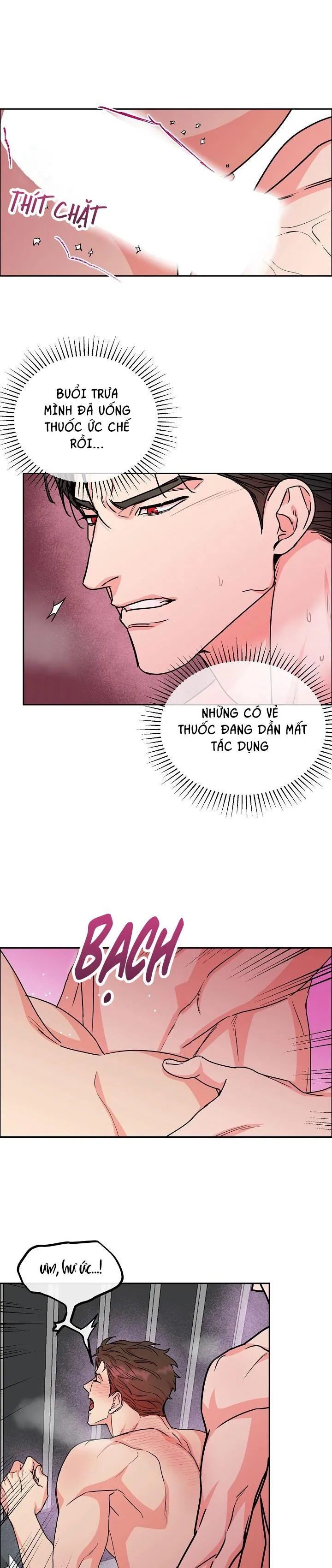 CHÓ VÀ CHIM Chapter 25 Trang 20