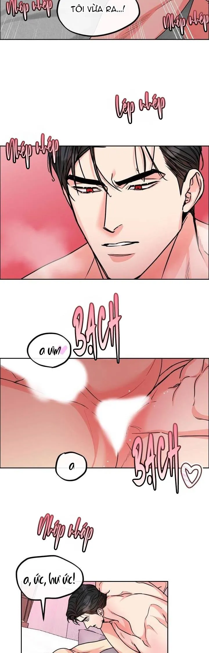 CHÓ VÀ CHIM Chapter 26 Trang 5