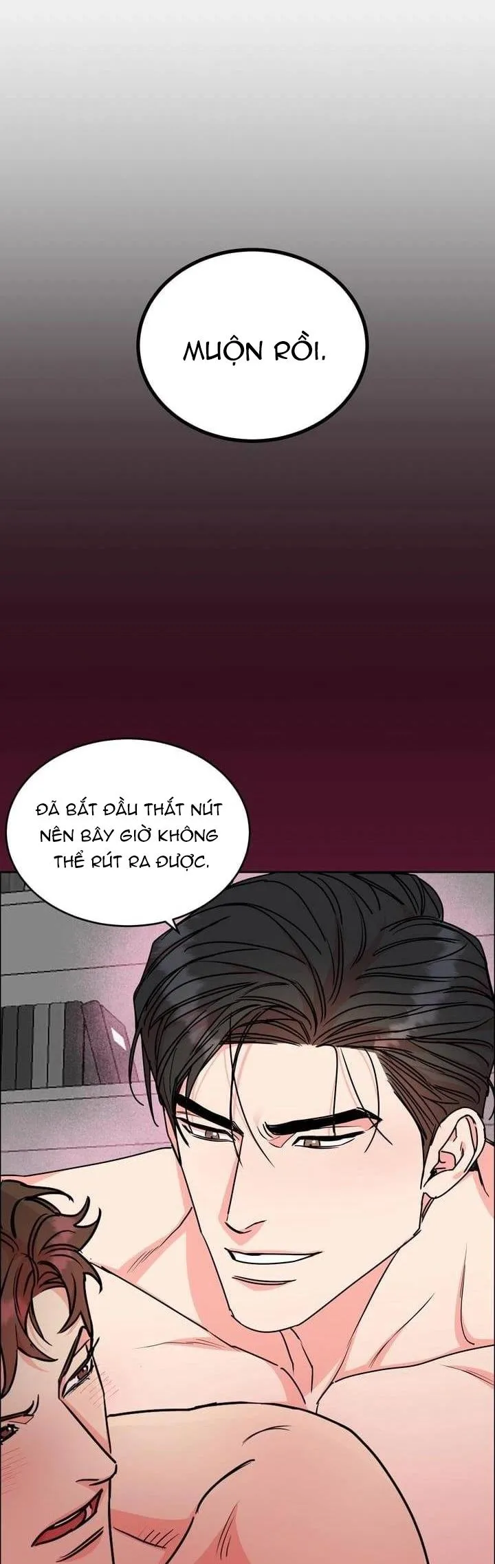 CHÓ VÀ CHIM Chapter 26 Trang 24