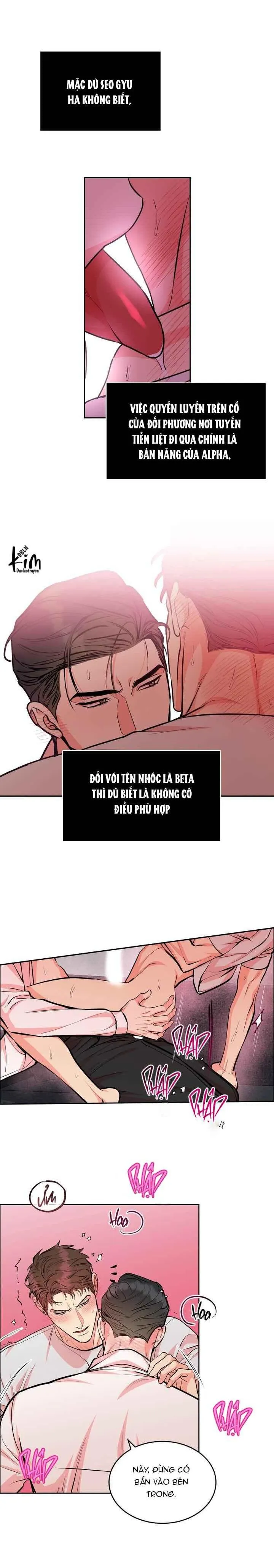 CHÓ VÀ CHIM Chapter 29 Trang 9