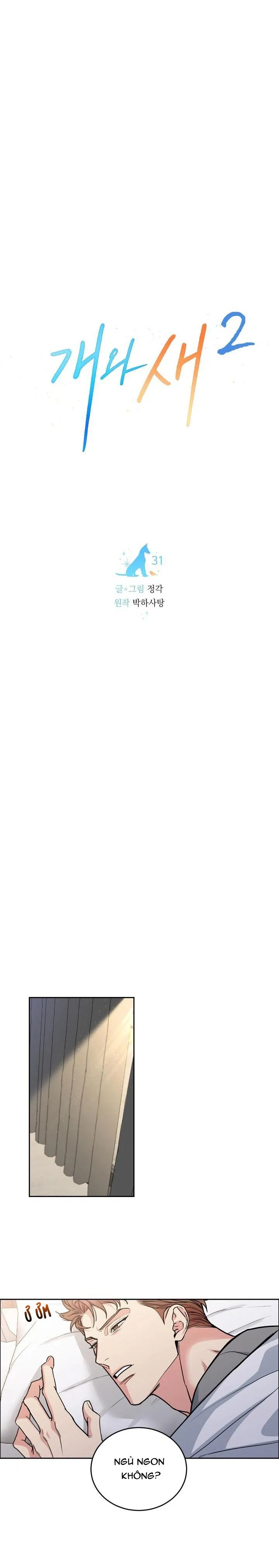 CHÓ VÀ CHIM Chapter 31 Trang 9