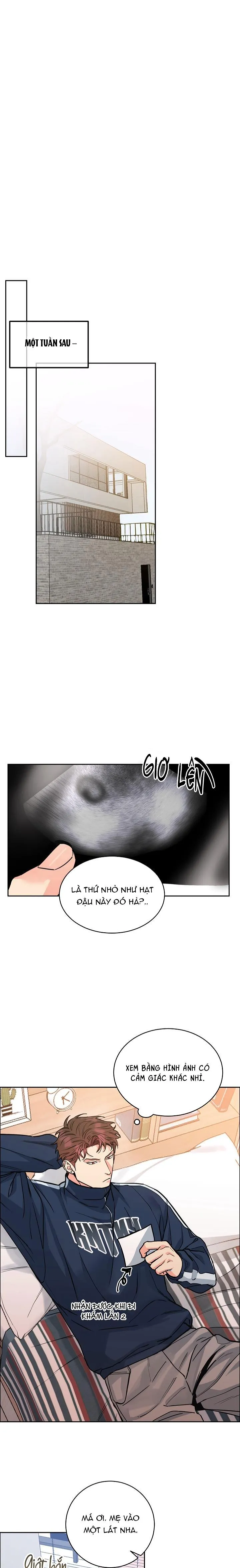 CHÓ VÀ CHIM Chapter 33 Trang 7