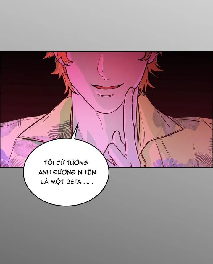 CHÓ VÀ CHIM Chapter 35 Trang 36