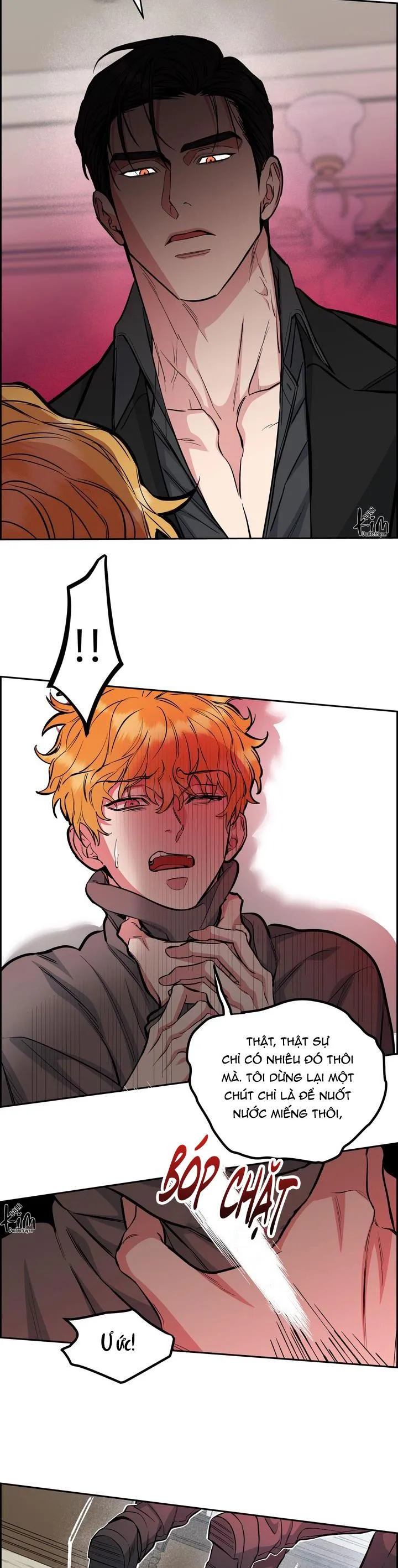 CHÓ VÀ CHIM Chapter 37 Trang 9