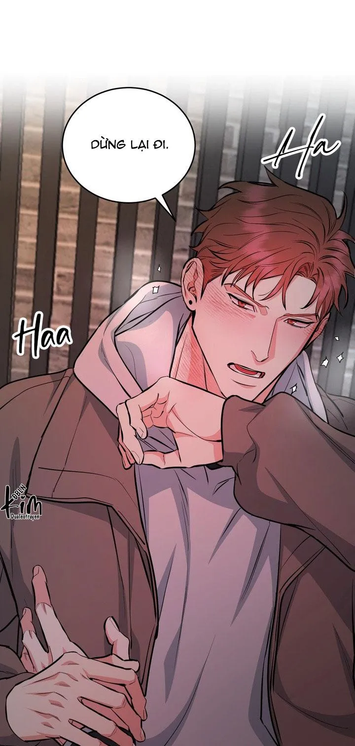 CHÓ VÀ CHIM Chapter 41 Trang 32