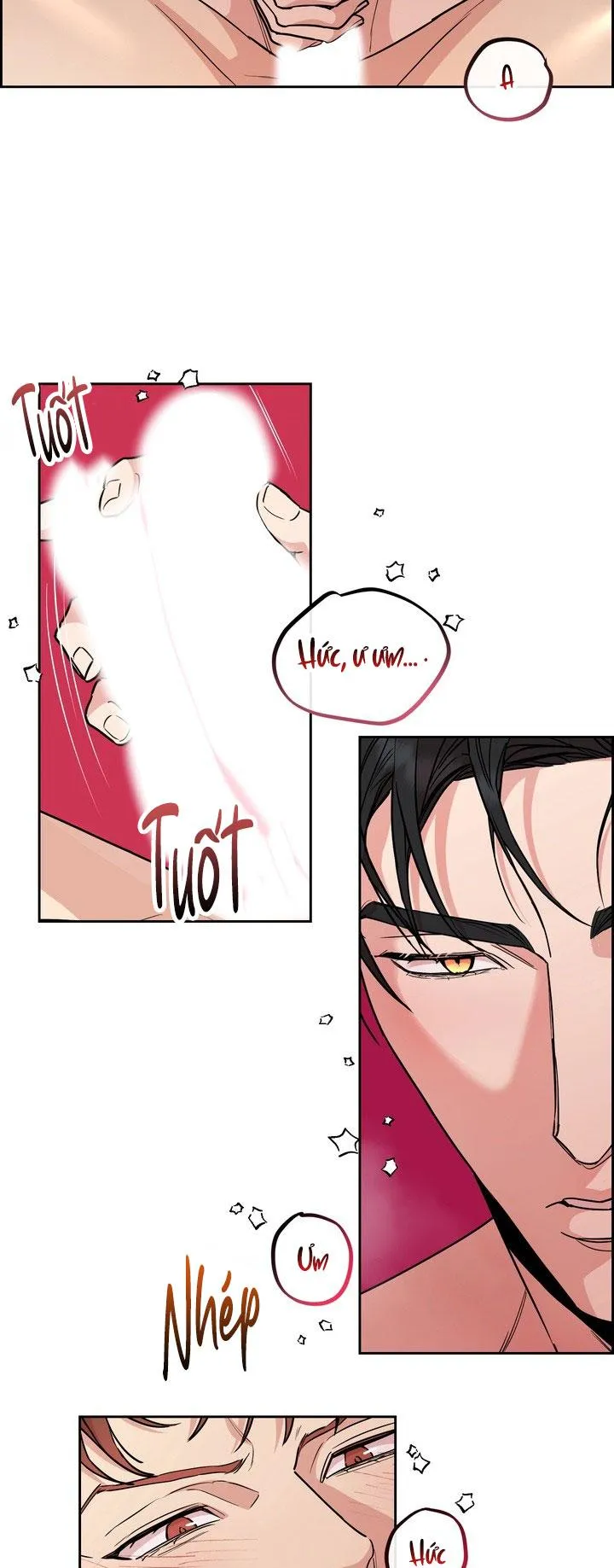 CHÓ VÀ CHIM Chapter 52 Trang 6