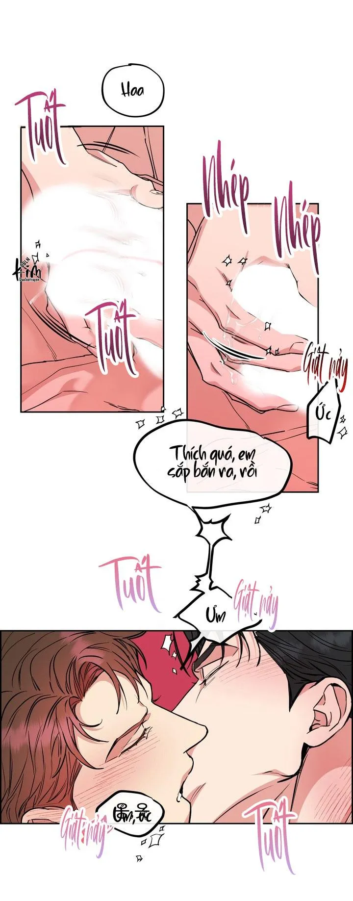 CHÓ VÀ CHIM Chapter 52 Trang 8