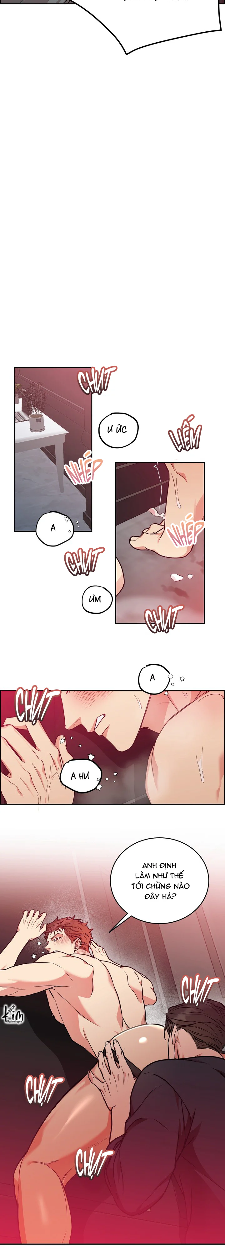 CHÓ VÀ CHIM Chapter 59 Trang 20