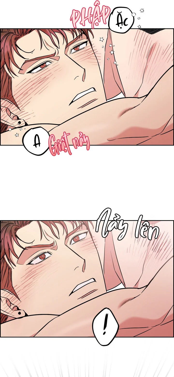 CHÓ VÀ CHIM Chapter 60 Trang 29