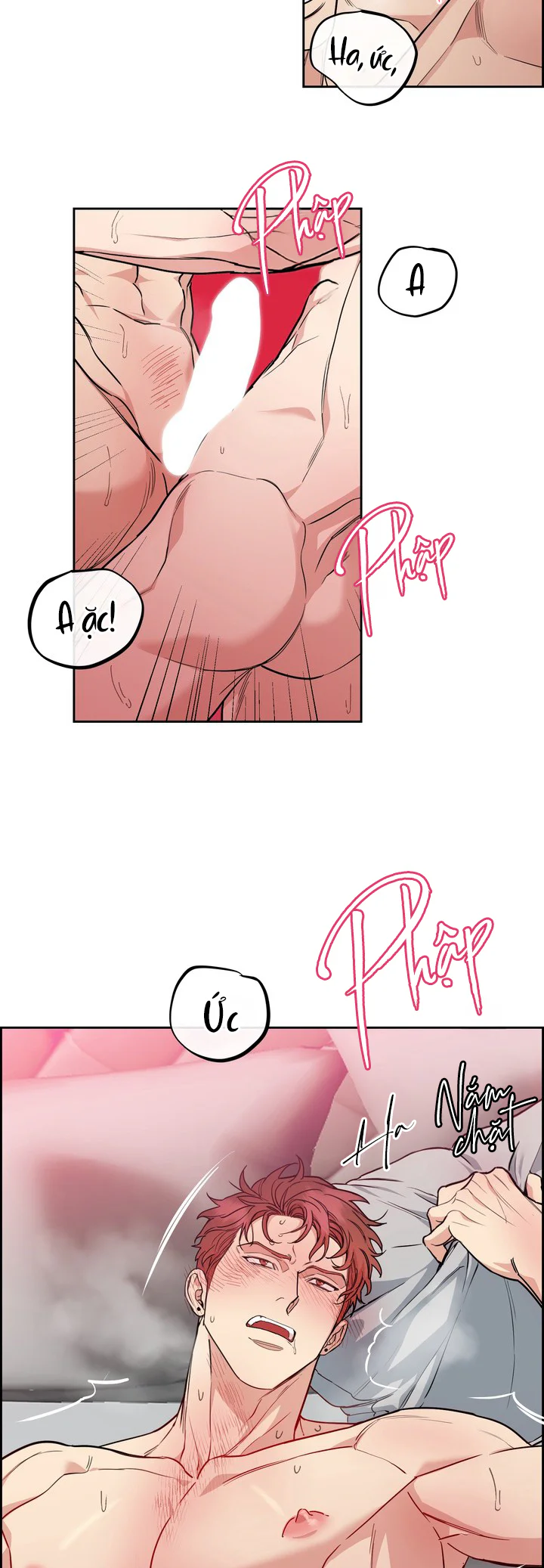 CHÓ VÀ CHIM Chapter 61 Trang 4