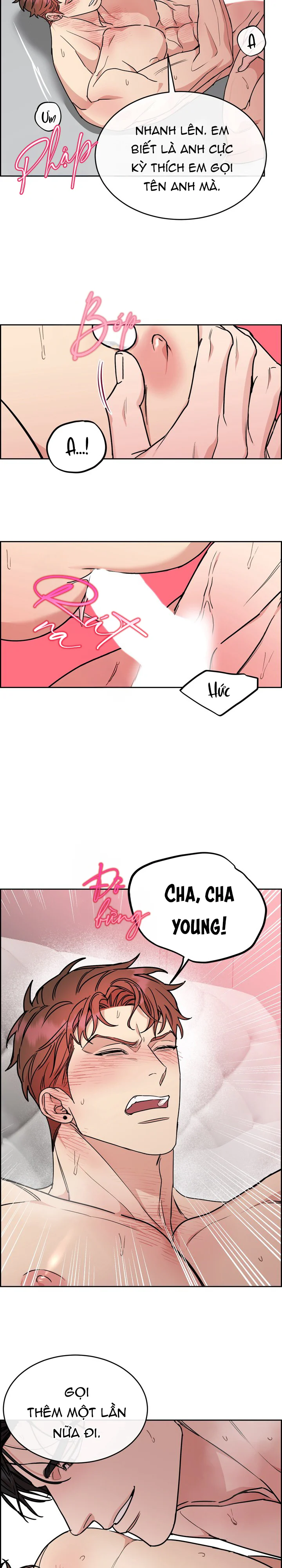 CHÓ VÀ CHIM Chapter 61 Trang 11