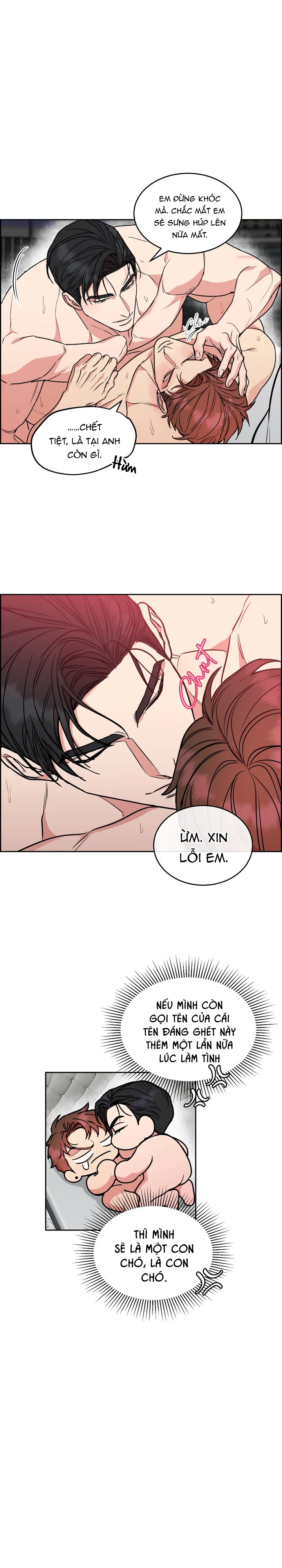 CHÓ VÀ CHIM Chapter 61 Trang 14