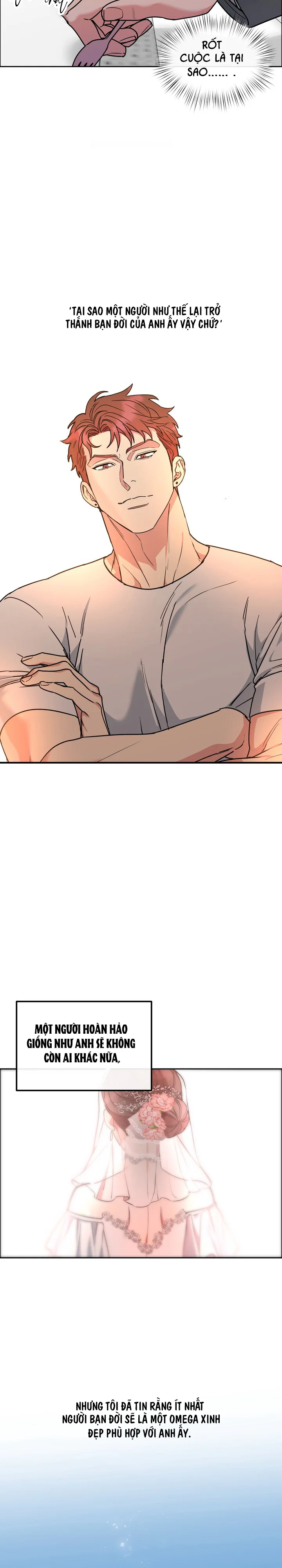 CHÓ VÀ CHIM Chapter 65 Trang 14