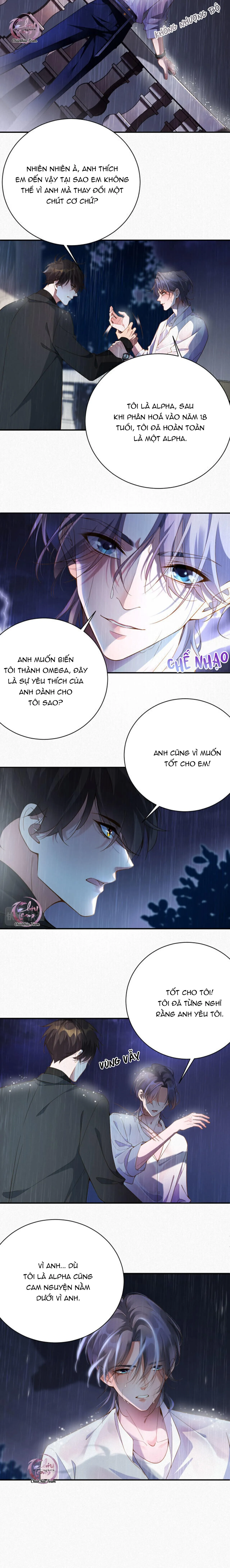 Chồng Cũ Lại Muốn Tái Hôn Rồi Chapter 1 Trang 3