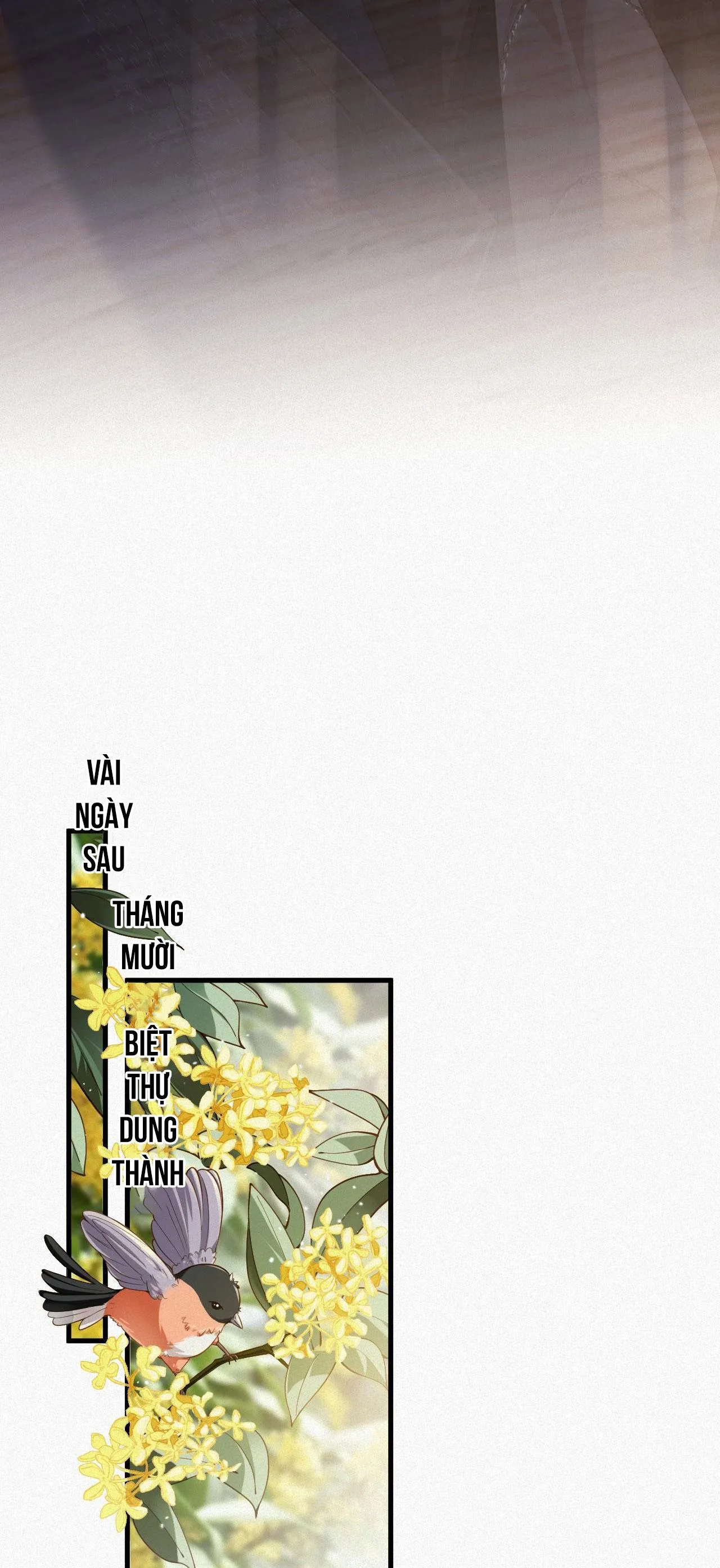 CHỒNG CŨ MUỐN TÁI HÔN LẦN NỮA Chapter 24 Trang 35