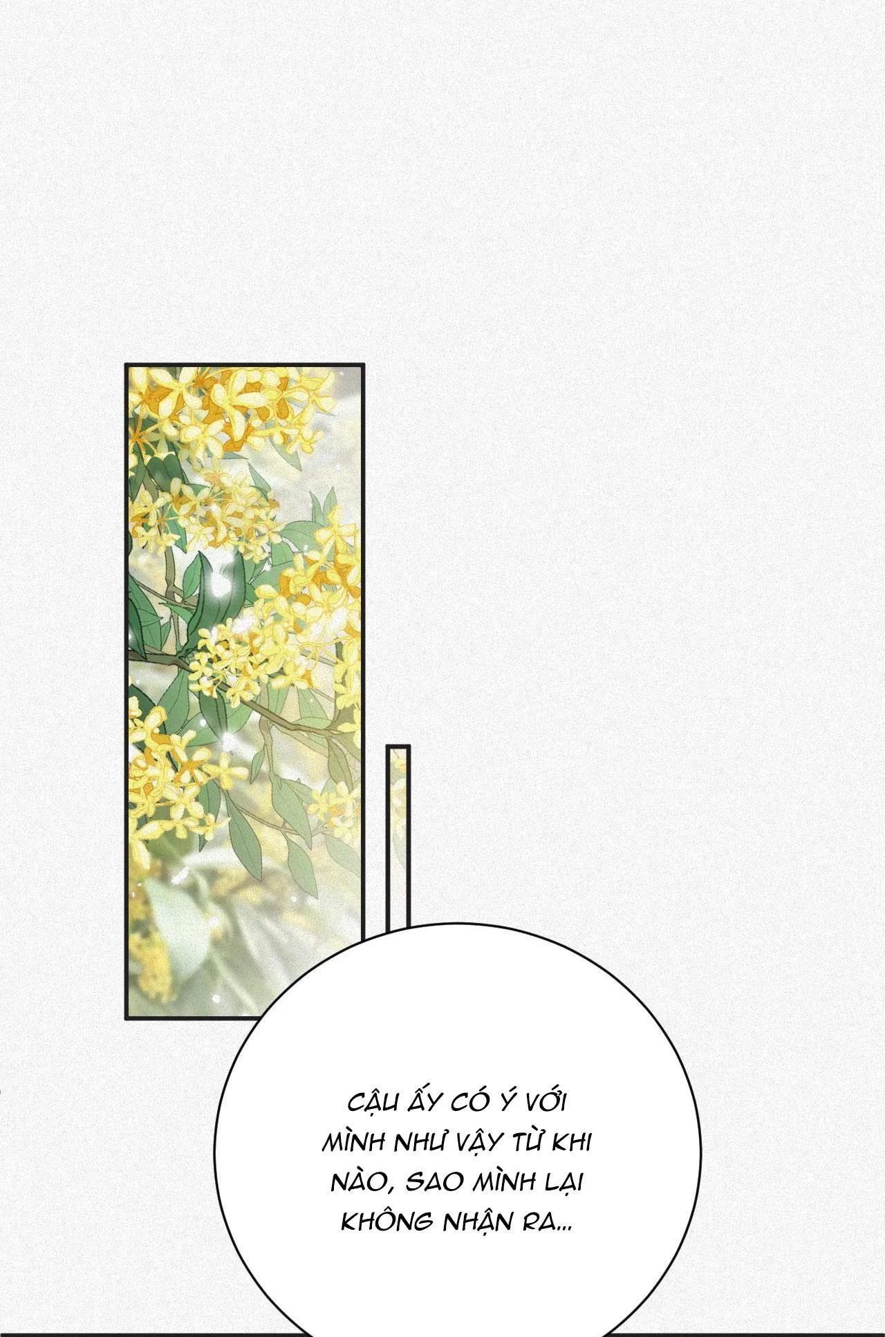 CHỒNG CŨ MUỐN TÁI HÔN LẦN NỮA Chapter 25 Trang 3