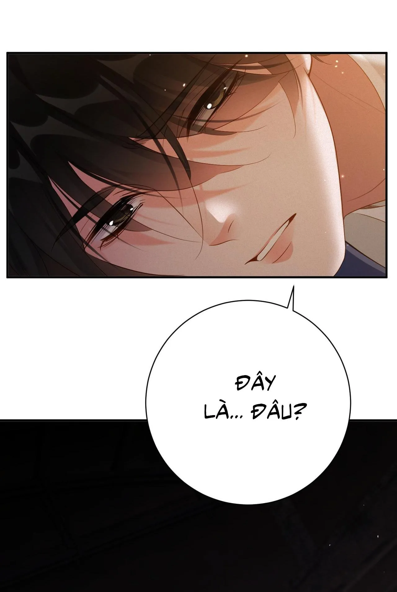 CHỒNG CŨ MUỐN TÁI HÔN LẦN NỮA Chapter 79 Trang 3