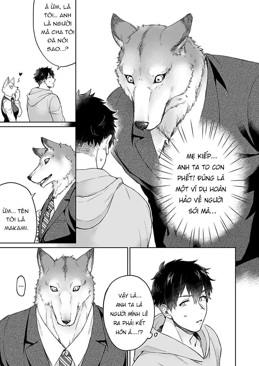 Chồng sói chẳng chịu ngủ cùng tôi Chapter 1 Trang 9