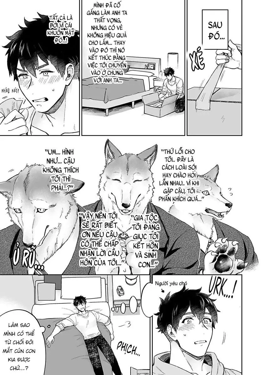Chồng sói chẳng chịu ngủ cùng tôi Chapter 1 Trang 11