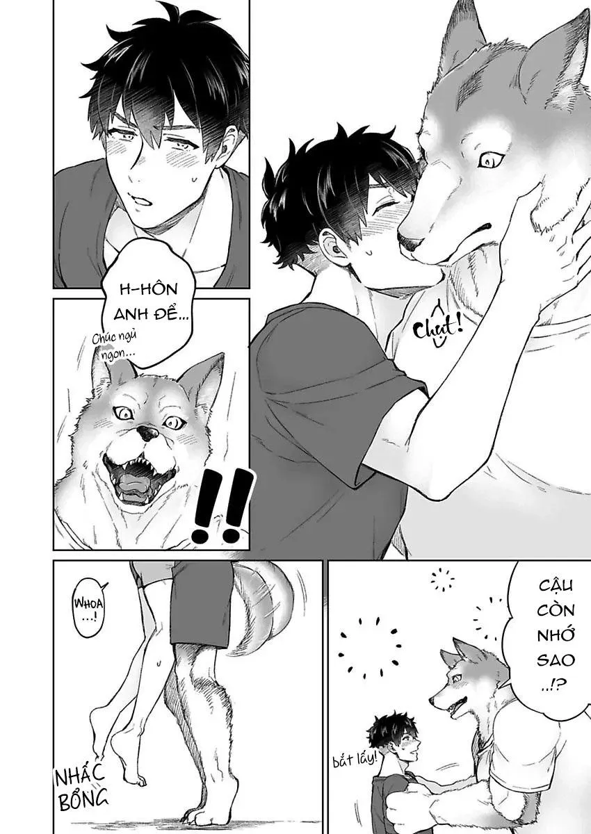 Chồng sói chẳng chịu ngủ cùng tôi Chapter 1 Trang 22