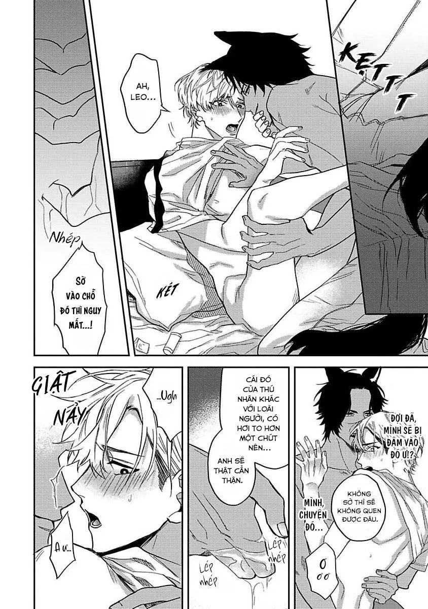 Chú Cá Ngừ Bonito Của Chàng Sói Chapter 2 Trang 20