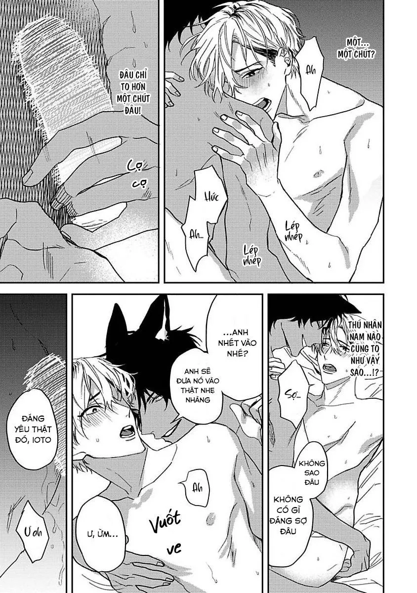 Chú Cá Ngừ Bonito Của Chàng Sói Chapter 2 Trang 21