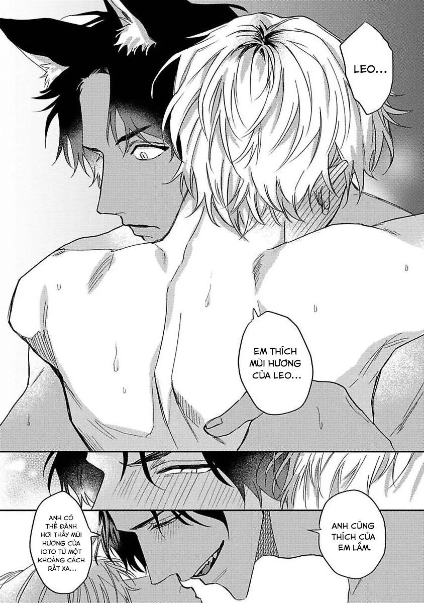 Chú Cá Ngừ Bonito Của Chàng Sói Chapter 2 Trang 23