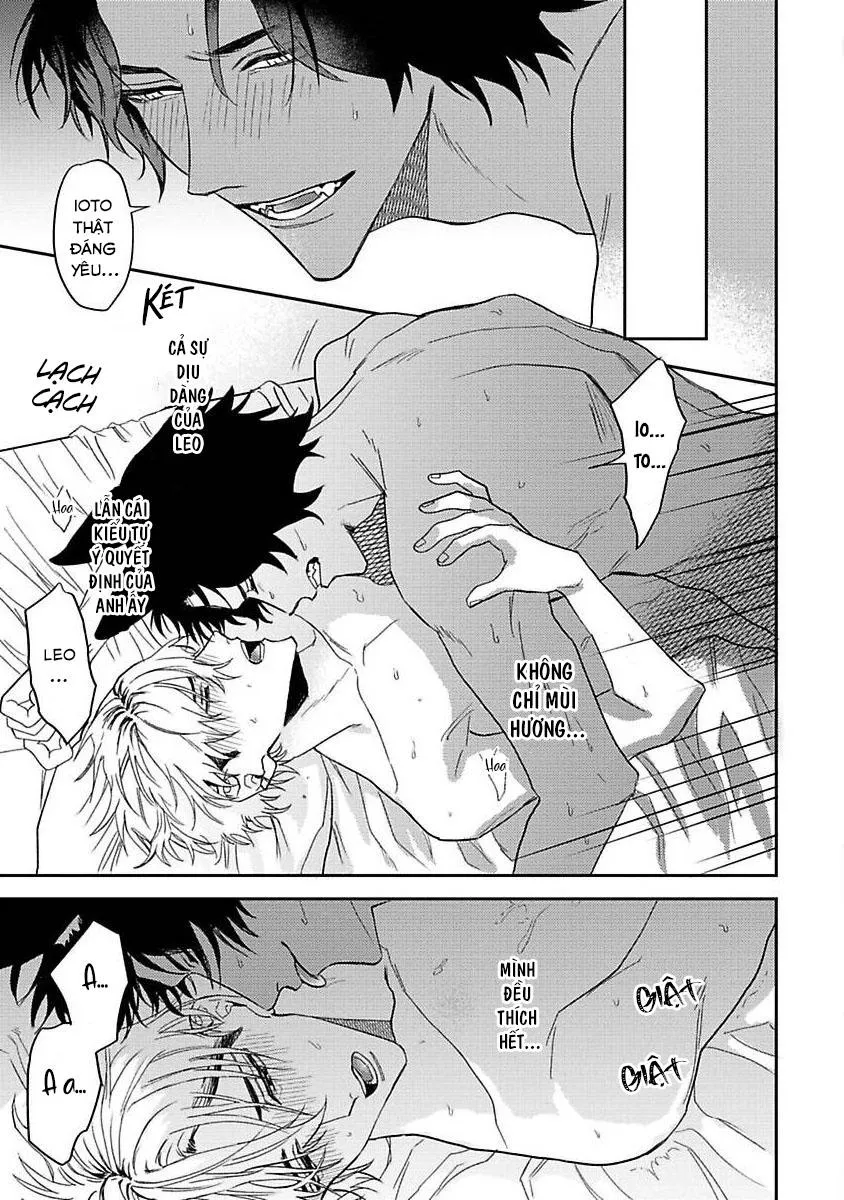 Chú Cá Ngừ Bonito Của Chàng Sói Chapter 2 Trang 24