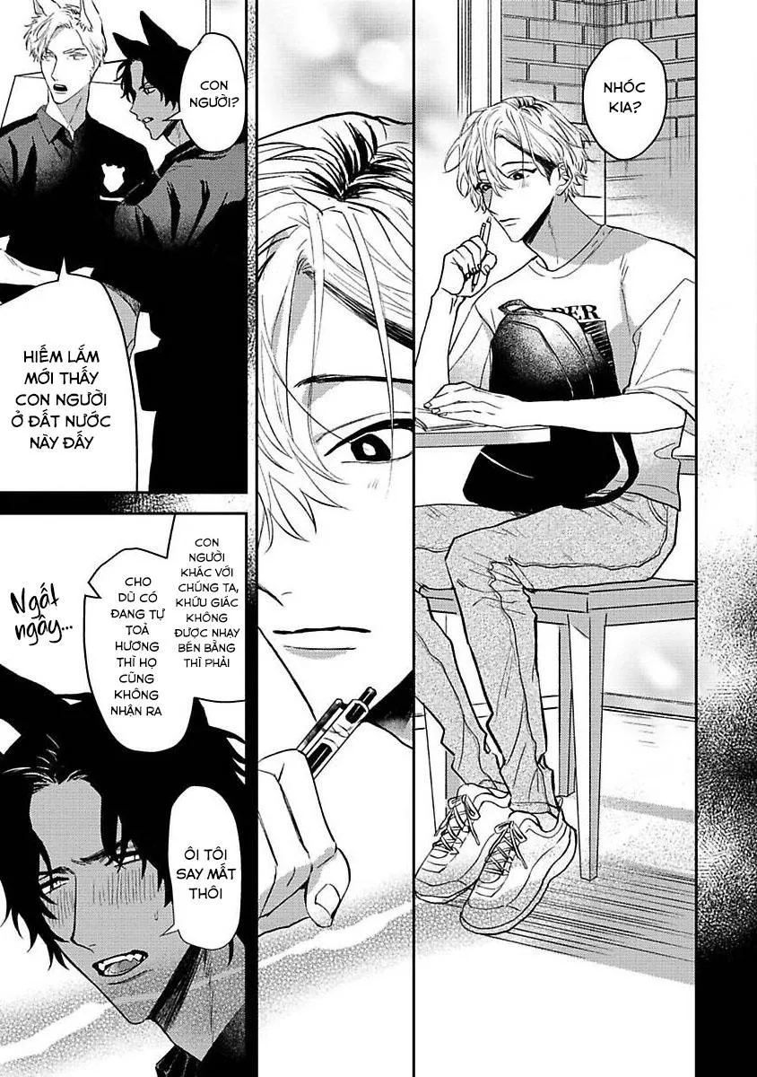 Chú Cá Ngừ Bonito Của Chàng Sói Chapter 3 Trang 7