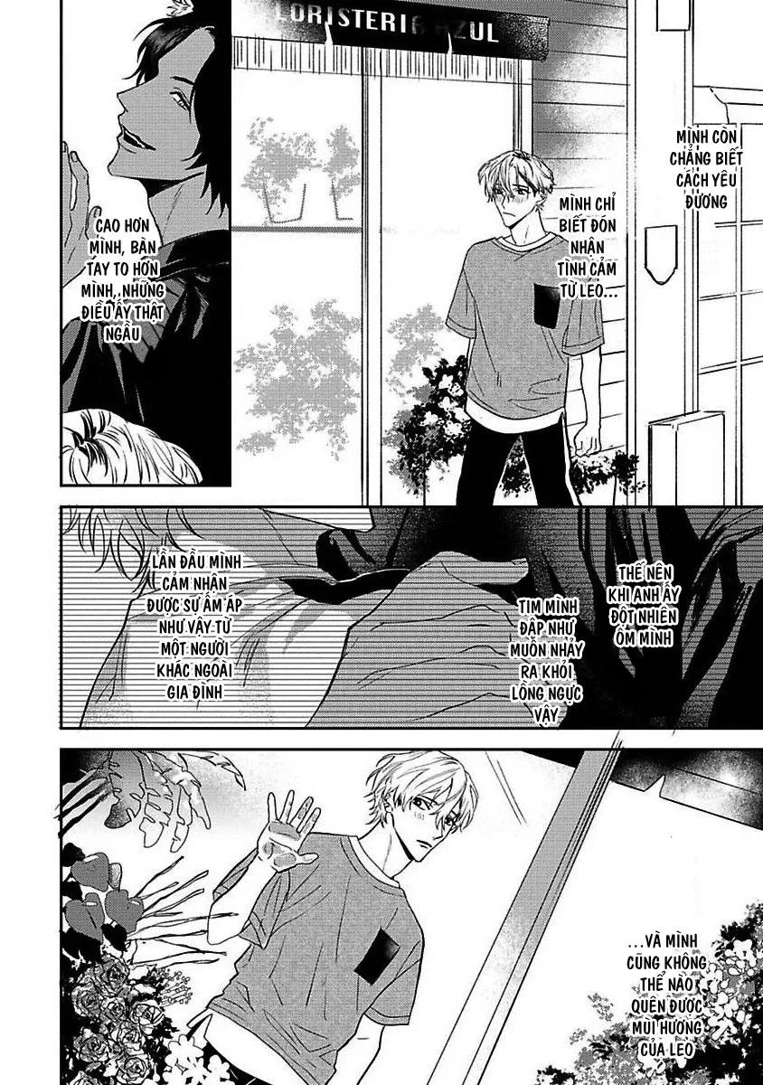 Chú Cá Ngừ Bonito Của Chàng Sói Chapter 3 Trang 12