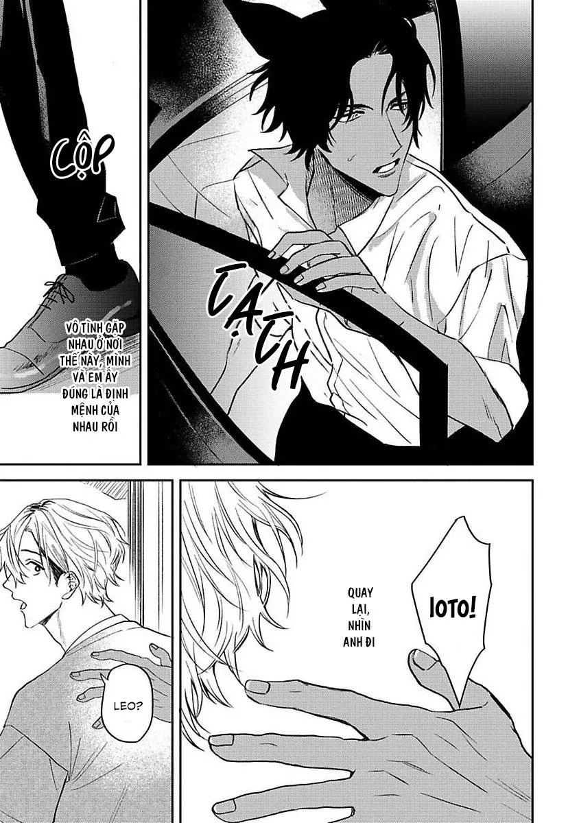 Chú Cá Ngừ Bonito Của Chàng Sói Chapter 3 Trang 15