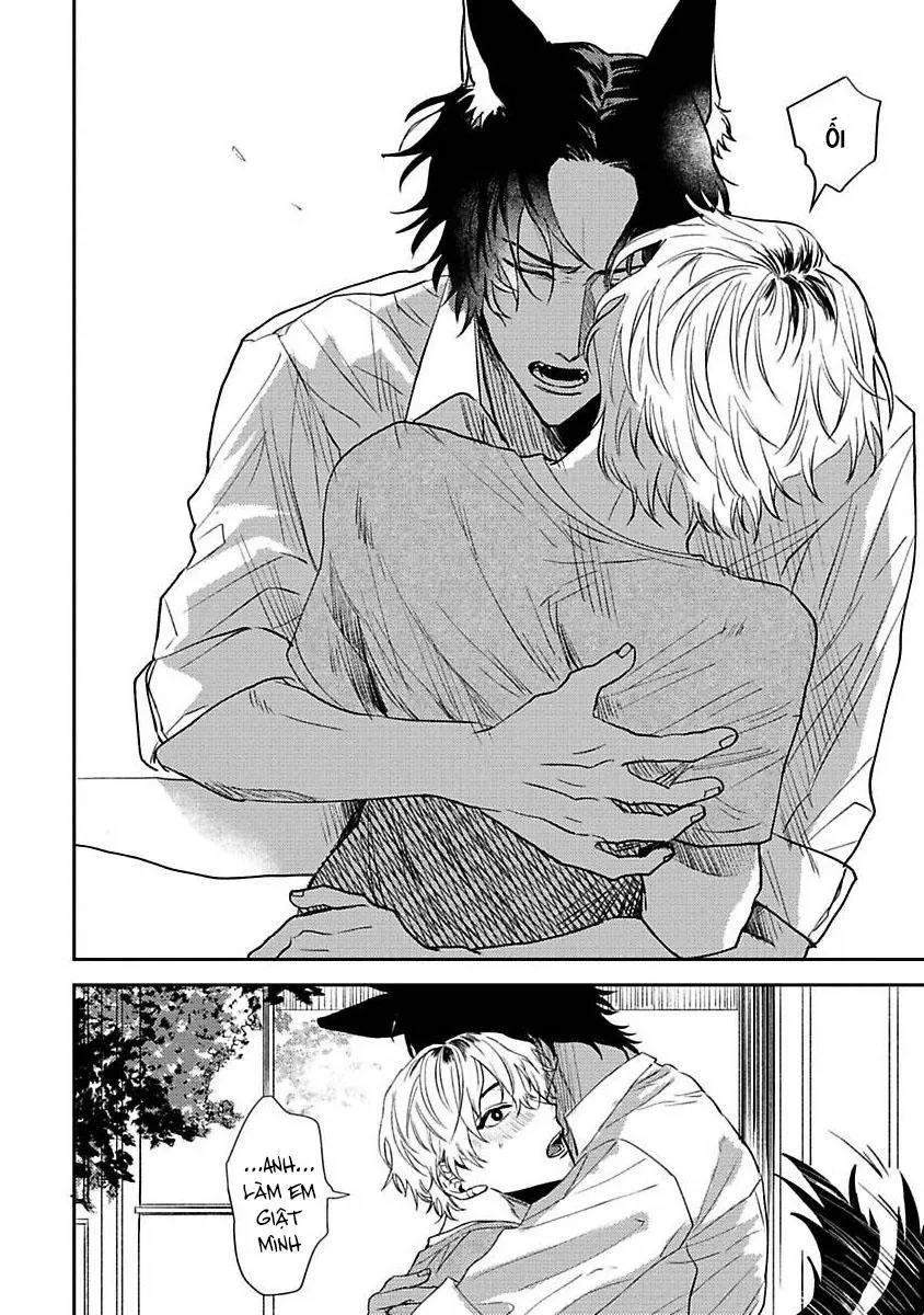 Chú Cá Ngừ Bonito Của Chàng Sói Chapter 3 Trang 16