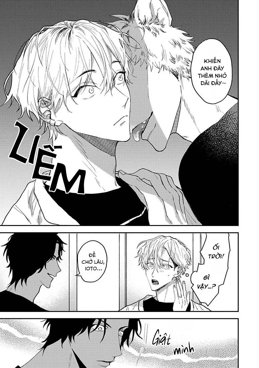 Chú Cá Ngừ Bonito Của Chàng Sói Chapter 5 Trang 11