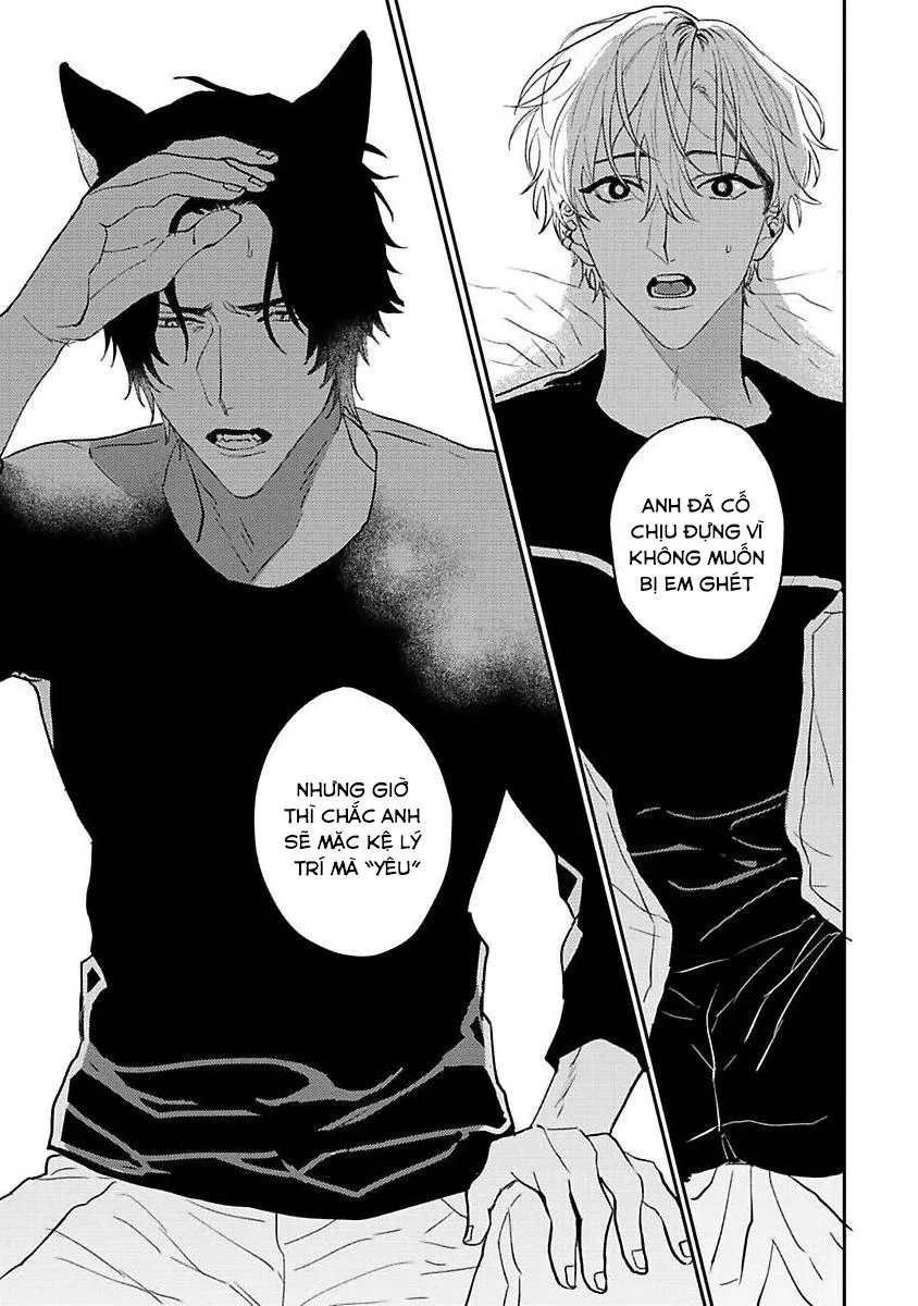 Chú Cá Ngừ Bonito Của Chàng Sói Chapter 5 Trang 15