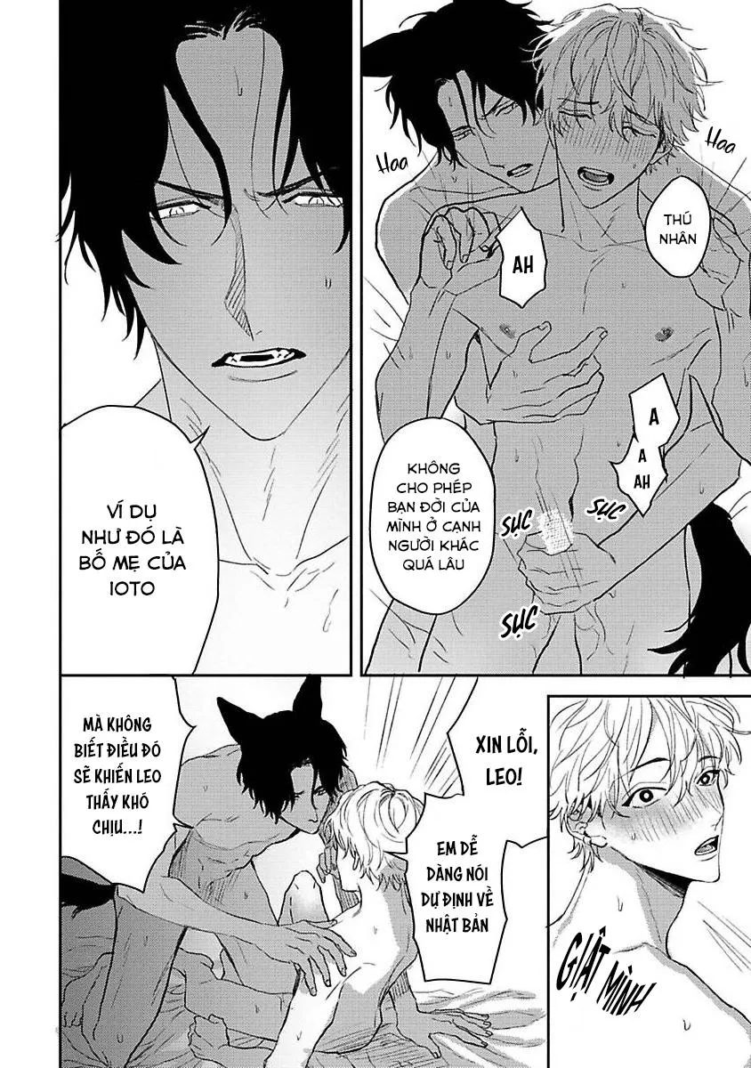 Chú Cá Ngừ Bonito Của Chàng Sói Chapter 5 Trang 18