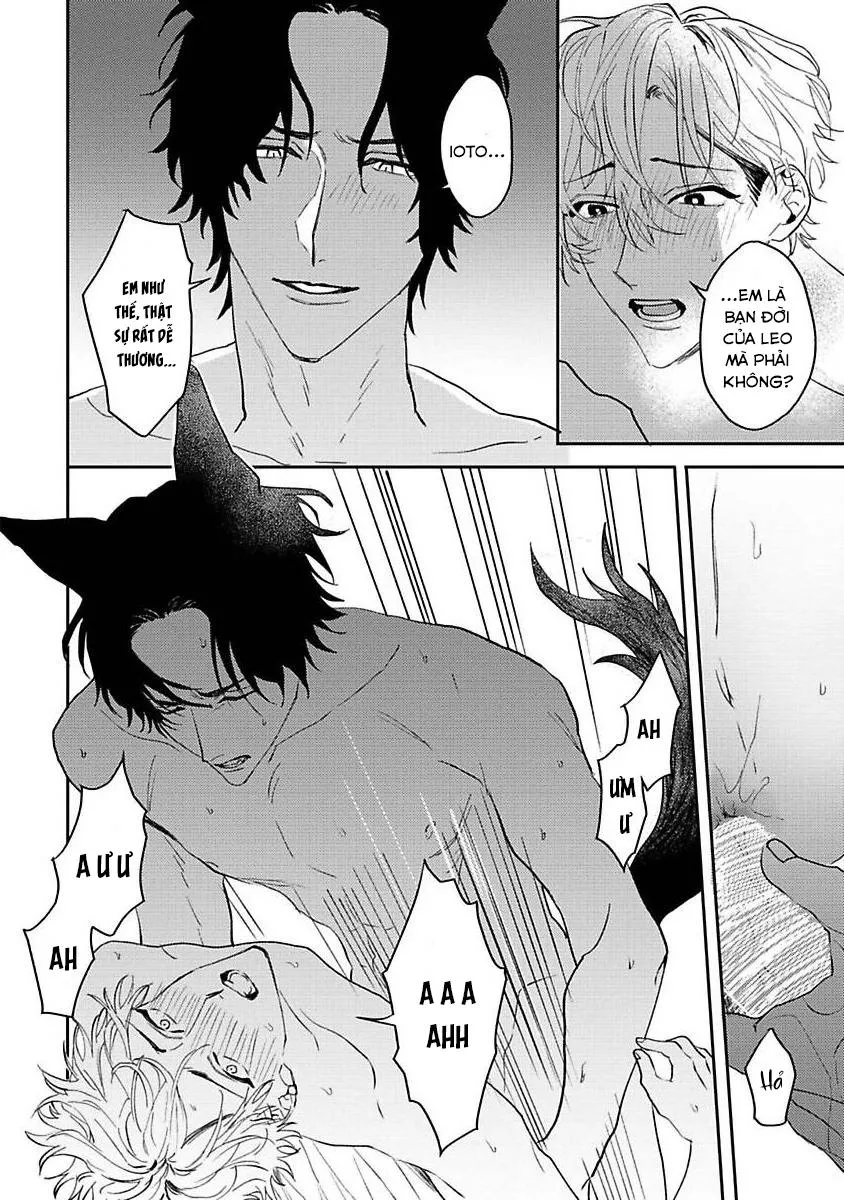 Chú Cá Ngừ Bonito Của Chàng Sói Chapter 5 Trang 20