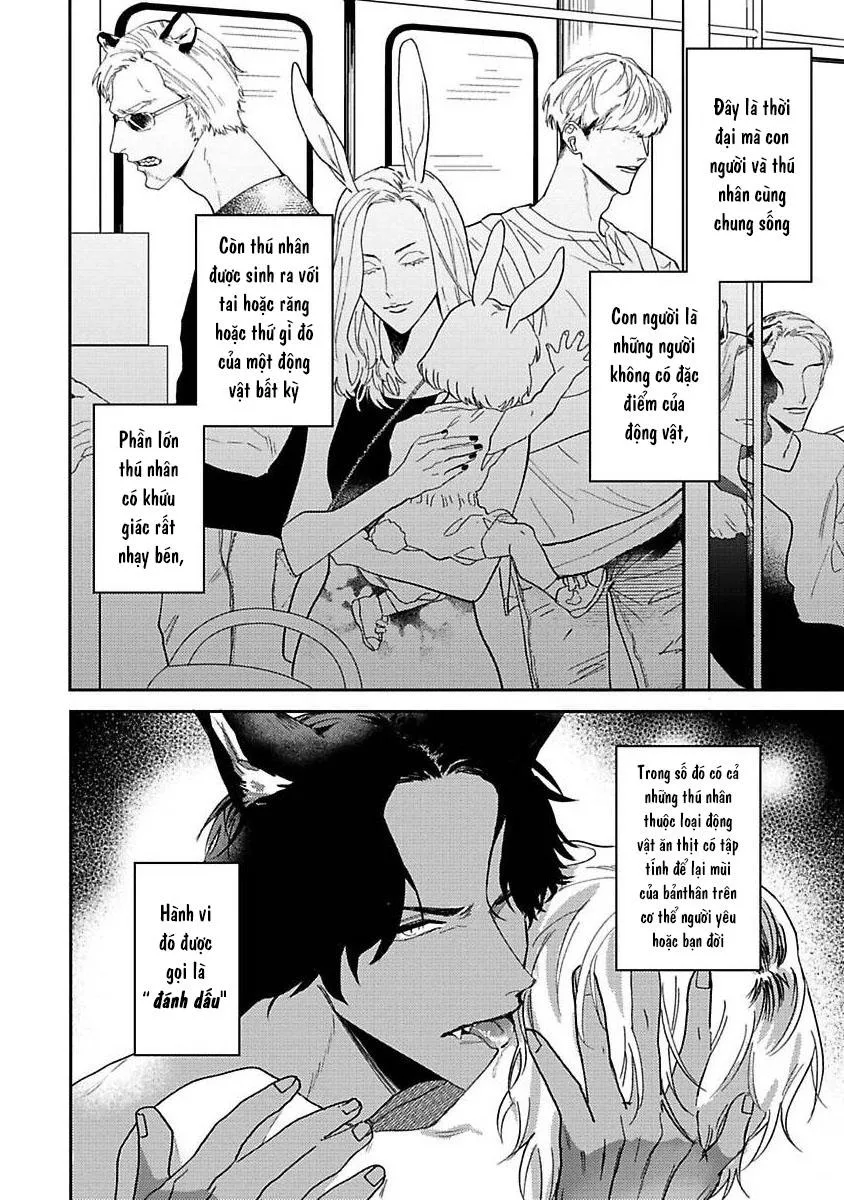 Chú Cá Ngừ Bonito Của Chàng Sói Chapter 1 Trang 5